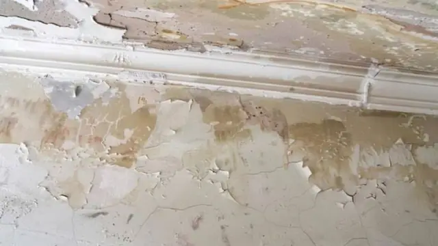 Peeling paint and swollen drywall along a wall near the baseboard