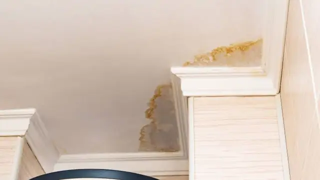 Small water stain on a ceiling next to crown molding