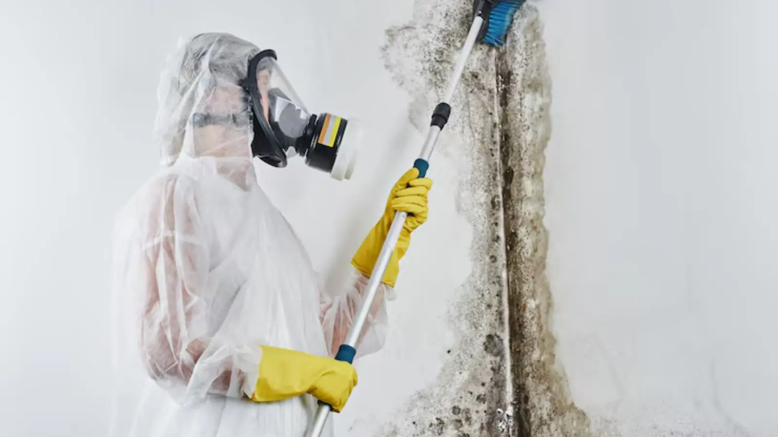 Worker in a respirator and protective suit treating a mold-stained wall with a pole sprayer